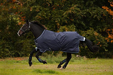 Produktbild von Horseware Amigo Bravo 12 Turnout Medium 250g - 250 g