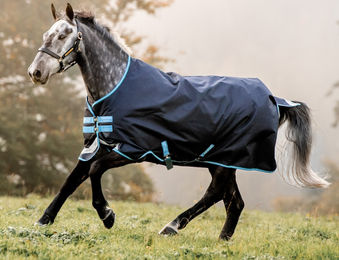 Horseware Amigo Bravo 12 Turnout Outdoor-Decke 50g – Bild 1 von 3