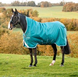 Produktbild von Horseware Amigo Bravo 12 Turnout Wug Medium - 250 g