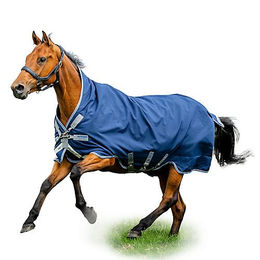 Produktbild von Horseware Amigo Bravo 12 Turnout Wug Medium