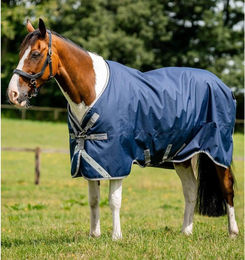 Produktbild von Horseware Amigo Bravo 12 XL Original Med - 250 g