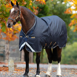 Produktbild von Horseware Amigo Bravo 12 XL Original Turnout Medium 250g - 250 g