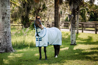 Produktbild von Horseware Amigo Bug Rug XL Plus Fliegendecke