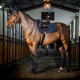 Produktbild von Horseware Amigo Close Contact Sattelunterlage