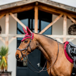 Produktbild von Horseware Amigo Ear Net