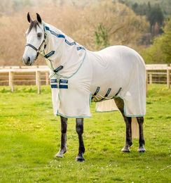 Horseware Amigo Fliegendecke Bug Buster – Bild 1 von 7