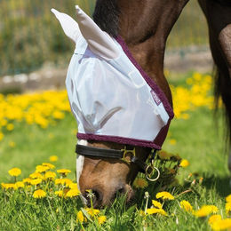 Produktbild von Horseware Amigo Fliegenmaske mit Ohren Silver/Purple