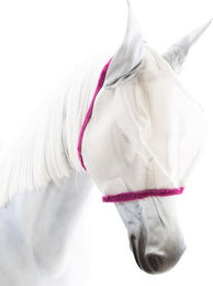 Produktbild von Horseware Amigo Fliegenmaske Silber/Lila - 1 Stk.