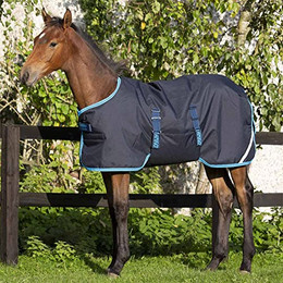 Produktbild von Horseware Amigo Foal Rug Turnout 200g Fohlendecke