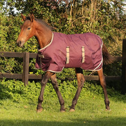 Produktbild von Horseware Amigo Fohlendecke Ripstop 200g Fig/Navy