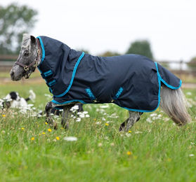 Produktbild von Horseware Amigo Hero 6 Petite Plus Turnout Medium Weidedecke