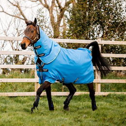 Produktbild von Horseware Amigo Hero 900 Plus Turnout Medium Disc Front Daphne Blue
