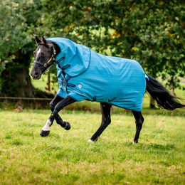 Produktbild von Horseware Amigo Hero 900 Revive Plus Weidedecke 50g - 50 g