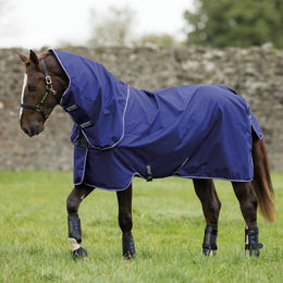 Horseware Amigo Hero 900D Plus Lite DISC 0g - Atlantic Blue/Ivory – Bild 1 von 9