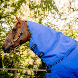 Produktbild von Horseware Amigo Hero Ripstop Hood 0g