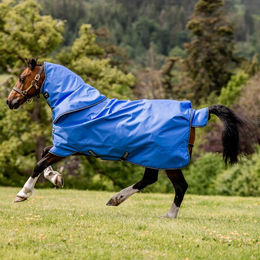 Produktbild von Horseware Amigo Hero Ripstop Plus 100g