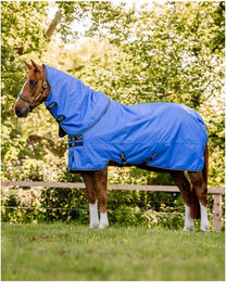 Produktbild von Horseware Amigo Hero Ripstop Plus 100g