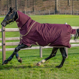 Produktbild von Horseware Amigo Hero Ripstop Plus Lite 0g - Fig/Navy & Tan