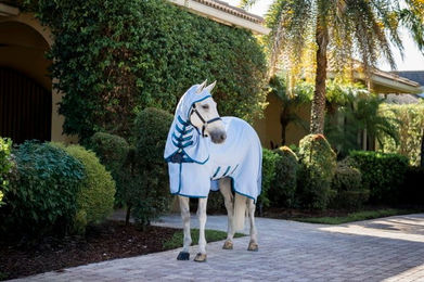 Horseware Amigo Ripstop Hoody Ekzemerdecke – Bild 1 von 4