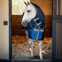 Produktbild von Horseware Amigo Ripstop Insulator Stable Hood