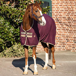 Produktbild von Horseware Amigo Stable  Sheet 0g - Fig/Navy