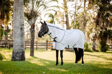 Horseware Amigo Summer Sheet Plus Weidedecke – Bild 1 von 4