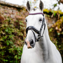 Produktbild von Horseware Diamante Flash Bridle