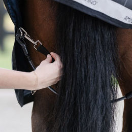 Produktbild von Horseware Elasticated Leg Straps