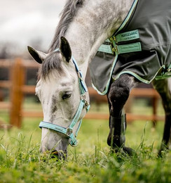 Produktbild von Horseware FieldSafe Halfter - 1 Stk.