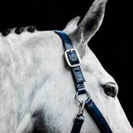 Produktbild von Horseware Grooming Headcollar