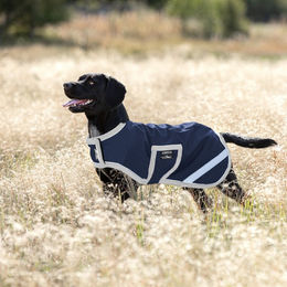 Produktbild von Horseware Hundedecke Amigo Ripstop - 1 Stk.