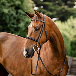 Produktbild von Horseware Hunter Bridle