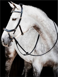 Produktbild von Horseware HW Micklem2 Multi Trense Vollblut Schwarz