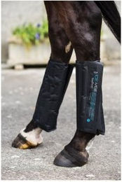 Horseware Ice Vibe Ersatz-Kühlkompresse - 2 Stk. – Bild 1 von 2