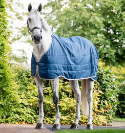 Horseware Ionentherapie-Einsatz 50g - 50 g – Bild 1 von 8