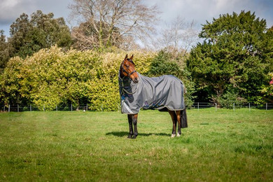 Produktbild von Horseware Ireland Amigo Bravo 12 Plus Turnout Lite Pferdedecke
