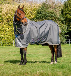 Produktbild von Horseware Ireland Amigo Bravo 12 Plus Turnout Lite Pferdedecke - 1 Stk.