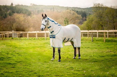 Produktbild von Horseware Ireland Amigo Bug Buster  Chalk/Navy & Blue Haze - 155 cm