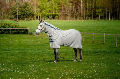 Produktbild von Horseware Ireland Amigo Bug Rug Lunar Rock/Navy & Lime - 145 cm