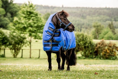 Produktbild von Horseware Ireland Amigo Hero 6 Petite Plus Turnout Lite Weidedecke