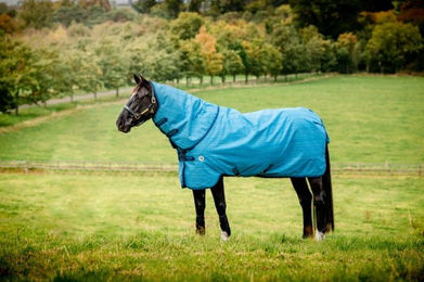 Produktbild von Horseware Ireland Amigo Hero 900 Revive Plus 50 g, oceanblue - 140 cm