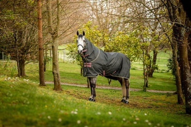 Produktbild von Horseware Ireland Amigo Hero Ripstop Plus Lite Shadow / Rose & Navy - 130 cm