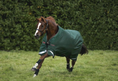 Produktbild von Horseware Ireland Rambo Original Turnout 100g green/red - 155 cm