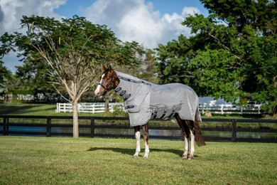 Produktbild von Horseware Ireland Rambo Protector Fieldsafe Plus Sommerdecke