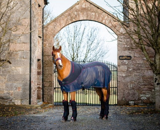 Produktbild von Horseware Ireland Rambo Sport Cooler navy/burgundy - 155 cm