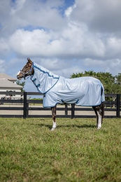 Horseware Irland Amigo Käferteppich Plus – Bild 1 von 5