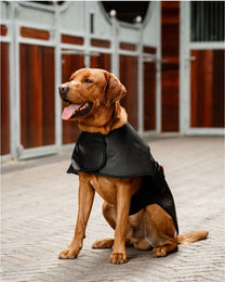 Produktbild von Horseware LED Red Light Therapy Pet Coat