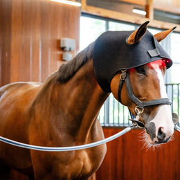 Produktbild von Horseware LED Red Light Therapy Poll Cap