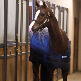 Produktbild von Horseware Liner Unterdecke 400g Navy - 400 g