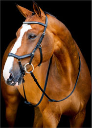 Produktbild von Horseware Micklem 2 Diamante Competition Zaumzeug